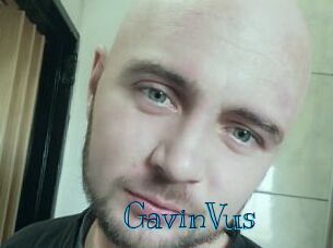 GavinVus
