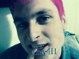 Gay411