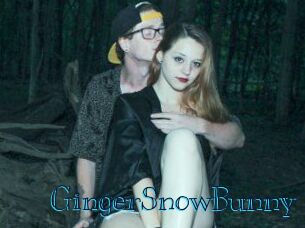 GingerSnowBunny