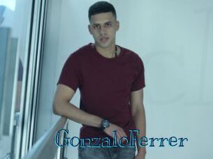 GonzaloFerrer