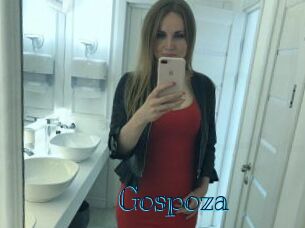 Gospoza Archive DVD BIZ