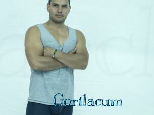 Gorilacum