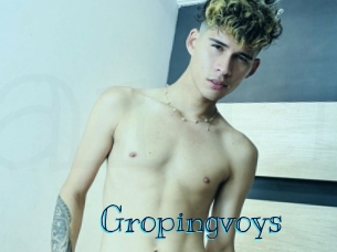 Gropingvoys