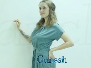 Gunesh