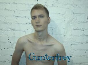 gunterfrey Archive DVD BIZ