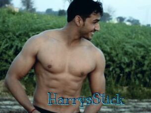 HarrysStick