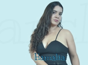 hamalia Archive DVD BIZ