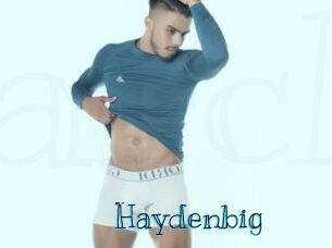 Haydenbig