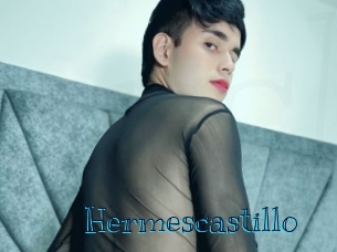 hermescastillo Archive DVD BIZ