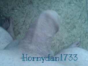 Hornydan1733