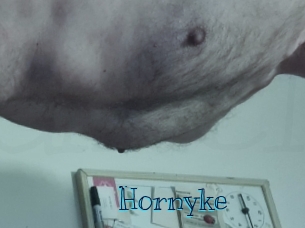 Hornyke