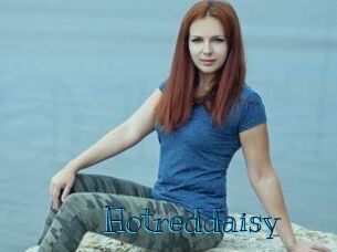Hotreddaisy