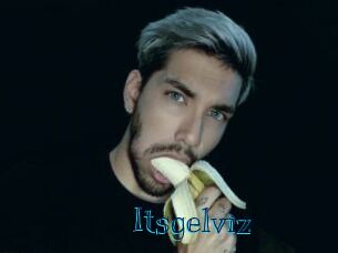 Itsgelviz