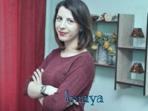 imaya Archive DVD BIZ