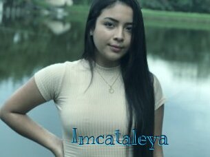 Imcataleya
