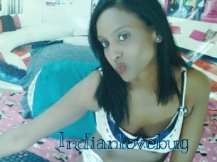 Indianlovebug