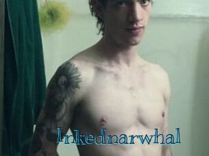 Inkednarwhal