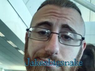 Jakesbigsnake