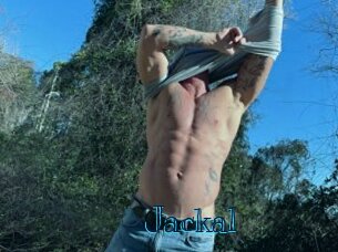 Jackal