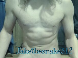 Jakethesnake312