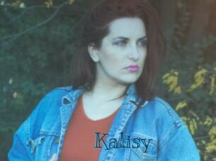 Kalisy Archive DVD BIZ