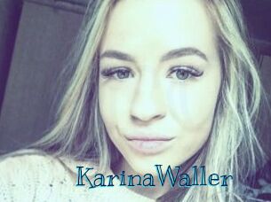KarinaWaller Archive DVD BIZ