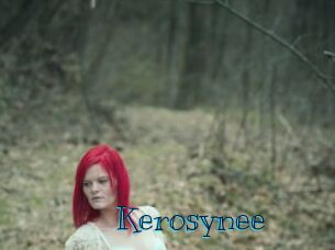 Kerosynee