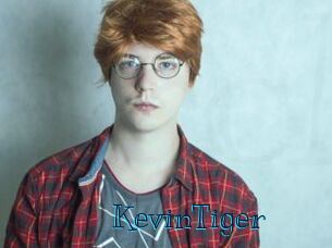 KevinTiger