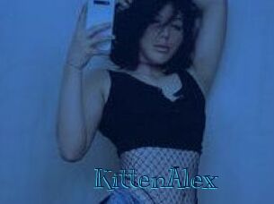 KittenAlex
