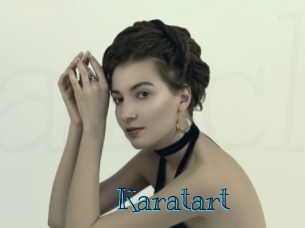 karatart Archive DVD BIZ
