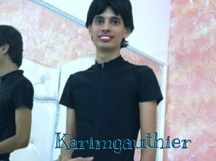 karimgauthier Archive DVD BIZ