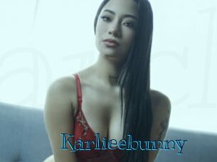 Karlieebunny