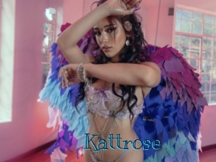 Kattrose