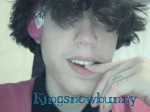 Kingsnowbunny