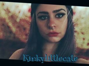 Kinkylittlecate