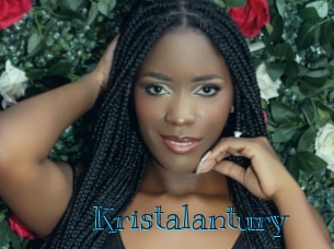 kristalantury Archive DVD BIZ