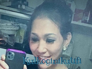 Kulkoginikutifi
