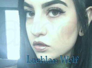 Lachlan_Wolf