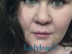 Ladybug22