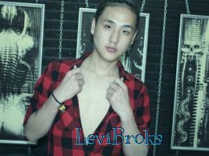 LeviBroks Archive DVD BIZ