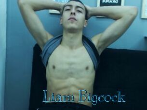 Liam_Bigcock