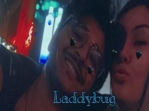 Laddybug