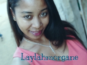 Laylahmorgane