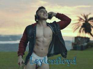 Leytonfloyd