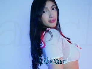 Libcam