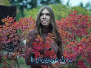 Lifeincolor