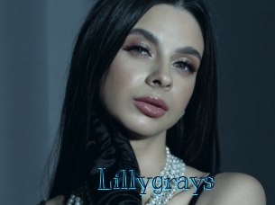 Lillygrays