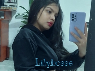 Lilybosse