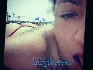 Lilyflower