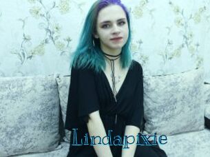 lindapixie Archive DVD BIZ